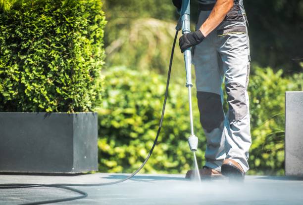 Best Fleet Vehicle Washing  in Pomona Park, FL