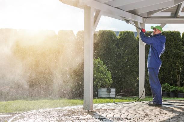 Best Driveway Pressure Washing  in Pomona Park, FL