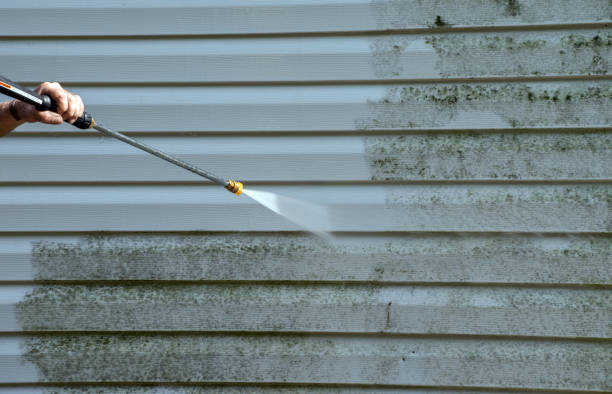 Best Gutter Cleaning  in Pomona Park, FL